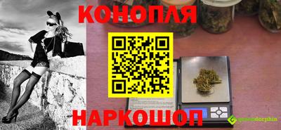 гидропоника Можга